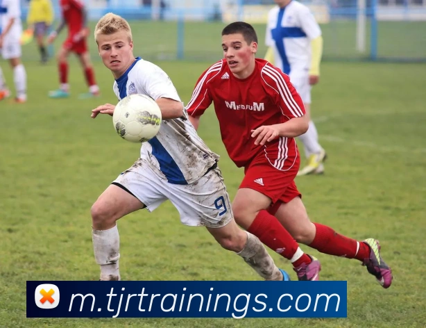 多终端兼容